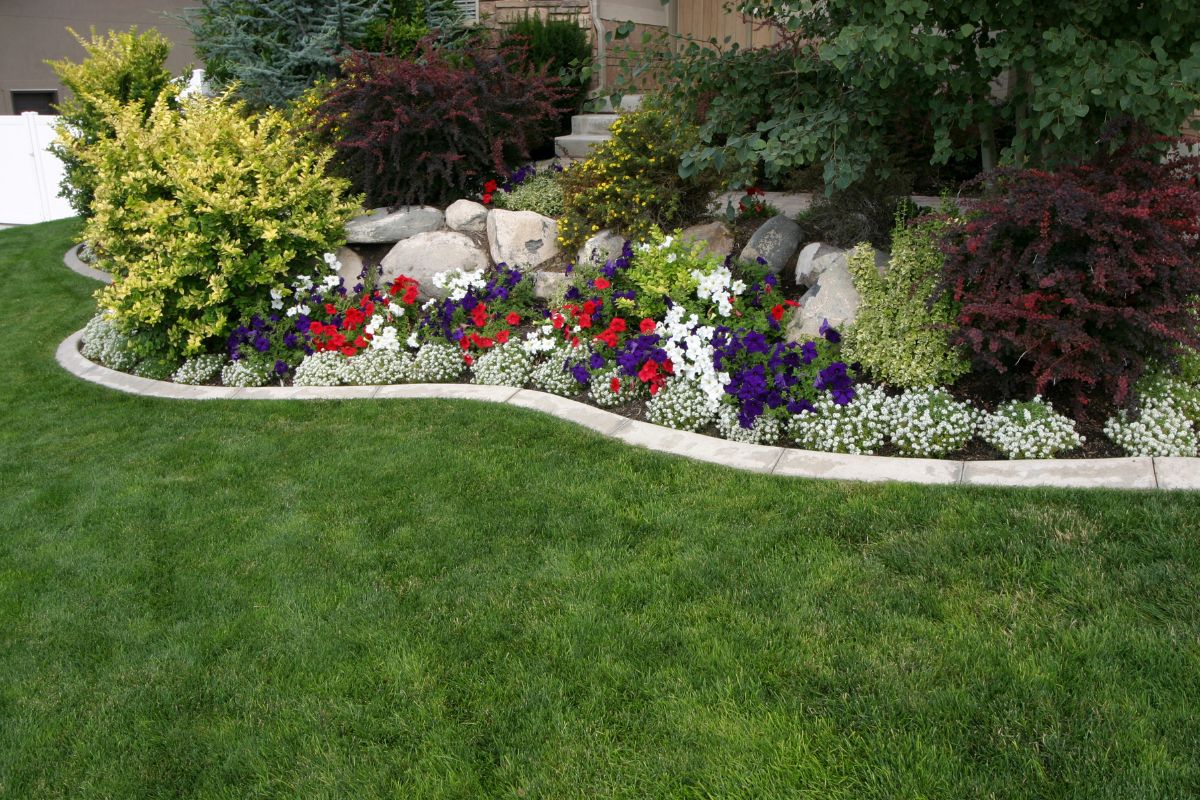 Landscaping & Outdoor